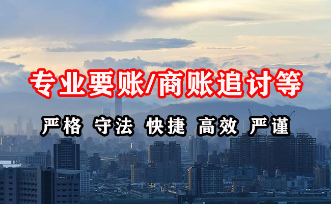 酉阳清账公司